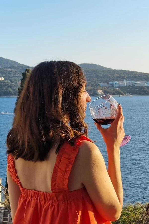 Ana Lozica With Terrace *